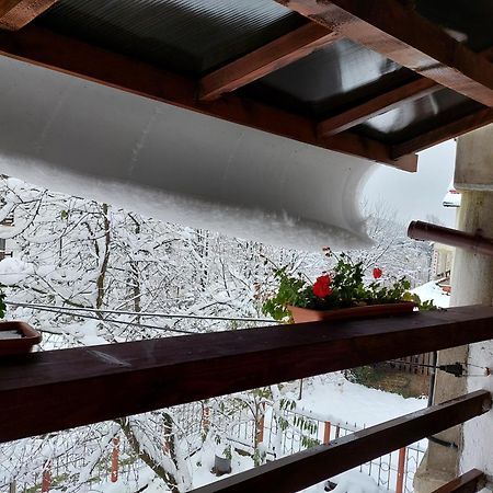 Holiday House Văliug Extérieur photo