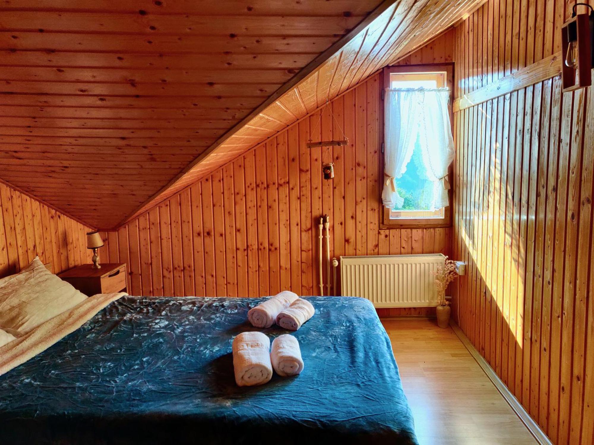 Holiday House Văliug Extérieur photo