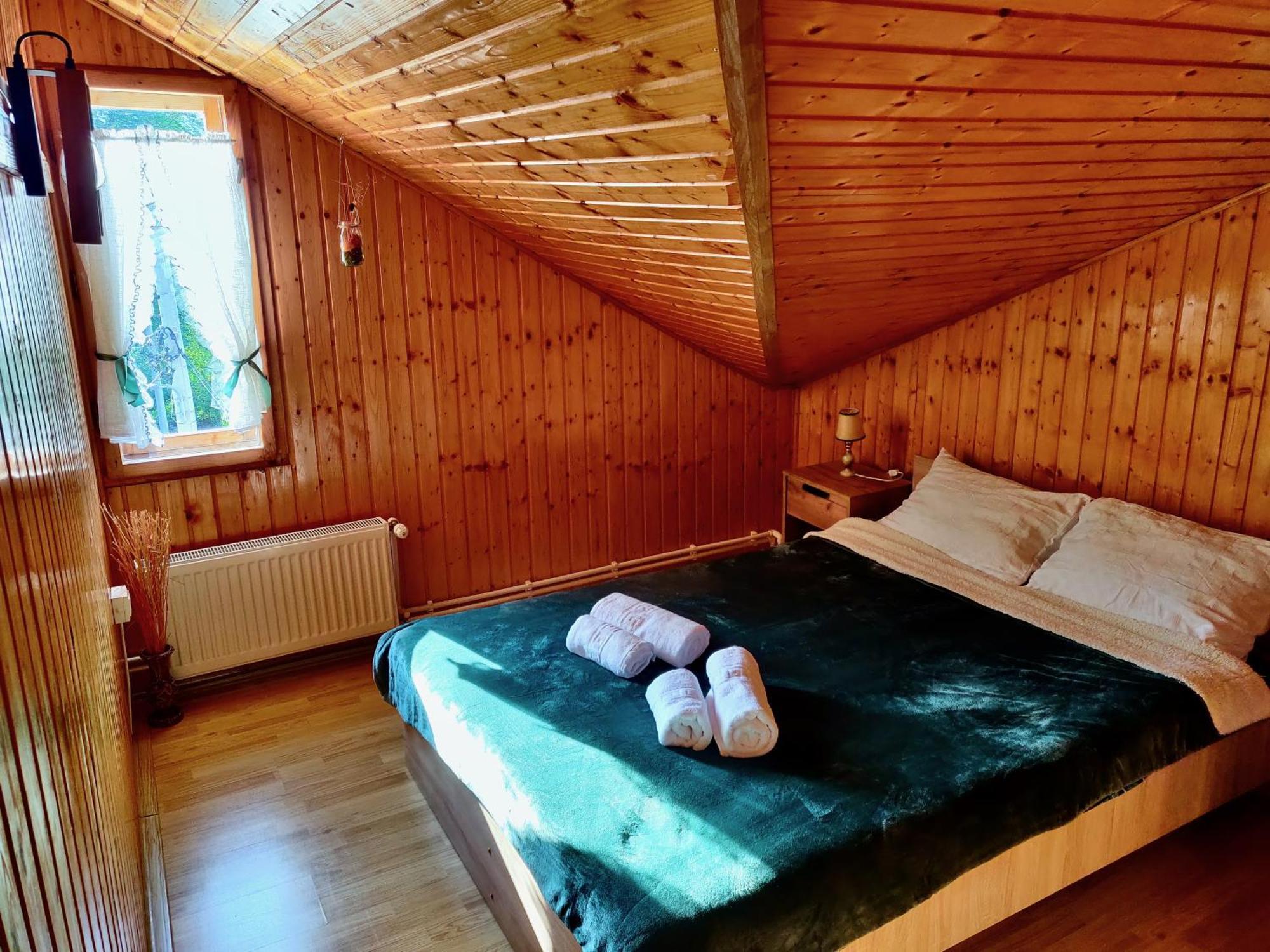 Holiday House Văliug Extérieur photo
