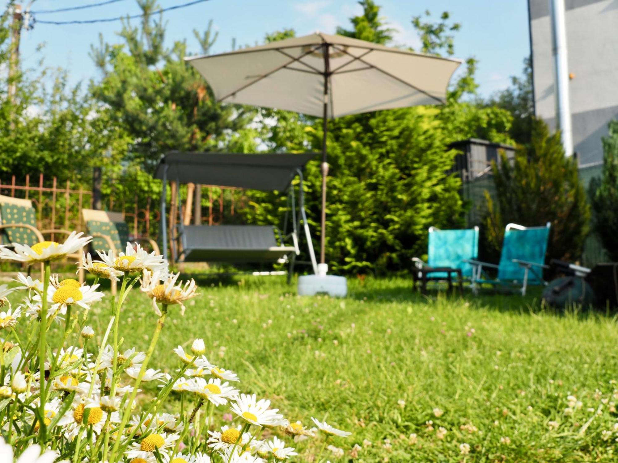Holiday House Văliug Extérieur photo