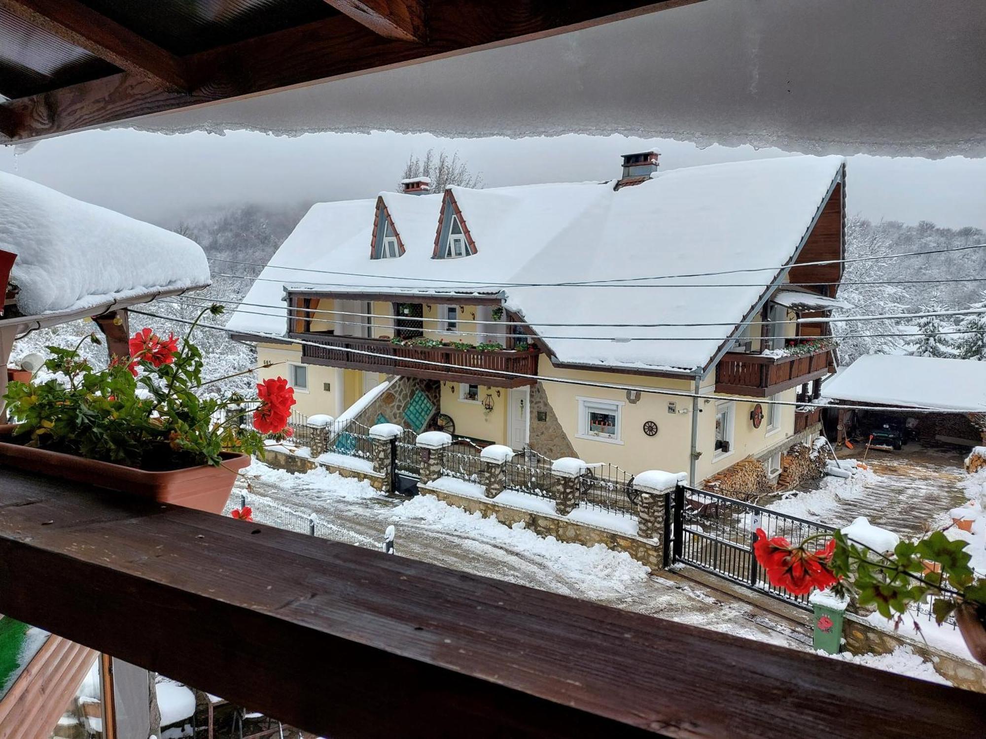 Holiday House Văliug Extérieur photo