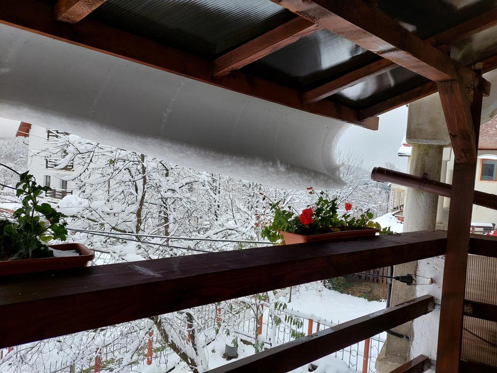 Holiday House Văliug Extérieur photo